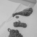 문정탑동물병원 | 최선을 다하는 문정 탑 동물병원 몰티즈 초콜릿 과자 섭취 #문정동 #장지동 #수서동 #위례 #패밀리...