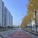 아지트 당구장 | 노랑노랑 11월 일상