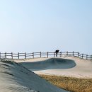 사구농장 이미지