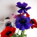 범계초등학교 이미지