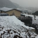 양평-용문-용문-4 이미지