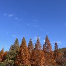 화명수목원 이미지