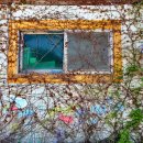 외연도2 이미지