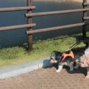 동구리호수공원잔디광장 이미지