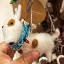 바우와우 하우스 이미지