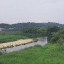 황구지천 이미지