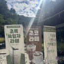 플랜트 황지연못 라운지 | 9월 가평 가을날씨 옷차림ㅣ국내여행지 아침고요수목원 초록상점카페