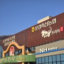 [문경 맛집] 문경축산농협 약돌한우프라자 가격 및 솔직식사후기🐂 /내돈내산