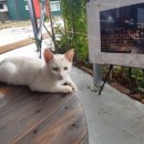 달봉이민박 이미지