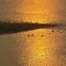 소망의문 이미지