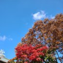 병방공원 이미지