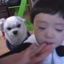 2539 | 2539. 명령하지마라 천천히간다