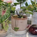 김대중컨벤션센터(마륵)역(북) 이미지