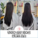 살롱드보스 네이버블로그