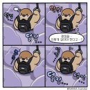 5월 일상(2) / 영크크 체험_동묘 완구거리, 하이디라오를 곁들인