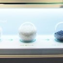 아이티 월드(IT. WORLD) 이미지