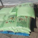 다산나정 이미지