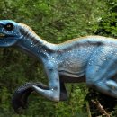 벨로시랩터 | 벨로시랩터 탐험 - 백악기 후기의 민첩한 포식자