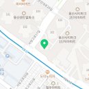 YS동물병원 이미지