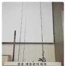 와일드피싱