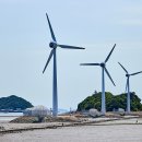 테마투어(해양생태 체험) 이미지