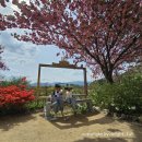 한우리명가식당 | 경주 숲머리길 - 겹벚꽃 산책길 (주차정보), 한우리가든 점심 후기 (쏘쏘)