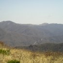 사자봉민박 이미지