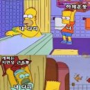 비타민휘트니스북