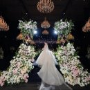 더메이 - 춘천시 김유정로 1882 | W3-1. 전주 본식 스냅 시노그라피 계약 후기 | 더메이 (내돈내산)