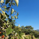 남정농장 이미지