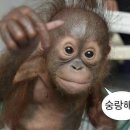 브런치스튜디오 이미지