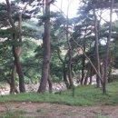 외곡검문소 앞 이미지