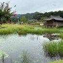 (주)서오 네이버블로그