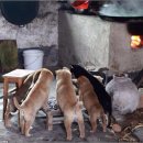 개판오분전 이미지