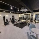 몸의형태 이미지