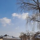 함화당 | 입춘을 앞두고 밤새 내린 눈 경복궁의 설경