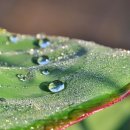 영산강둔치체육공원 이미지