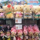 로아인터네셔널 이미지