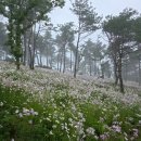 남상면사무소 이미지