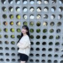 시에로엠버시현대