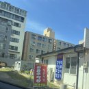 공항두루치기 | 여행 첫 끼를 책임진 제주공항밥집 성은식당, 흑돼지두루치기와 계란말이 후기