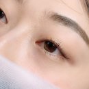 스노우브로우