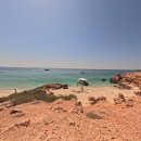 모터리츠 | [오만 무스카트] 다이마니야트 제도 (Dimaniyat Islands) 스노클링 후기