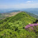 합천 황매산 철쭉과 암봉산행(2) 이미지