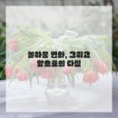 광명늘한의원 이미지