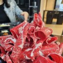 경성갈비 티스토리