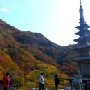 청량사 - 839 | 청량사