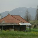 망월리 마을회관 이미지