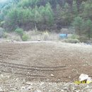 번개농장 이미지