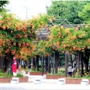 부천중앙공원 이미지